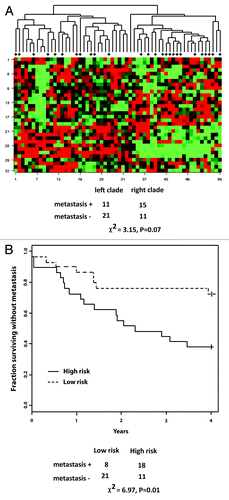 Figure 6. The G2 checkpoint signature list is prognostic for melanoma progression. Primary melanomas were analyzed for global gene expression using the Agilent microarray platform. A 6307 probe set was downloaded from an open source and analyzed for probes that were prognostic for development of distant metastases within four years of resection of the primary tumor.Citation8,Citation33 The 165 probe set that was correlated with G2 checkpoint function was used with survival risk prediction to generate two patient groups, one with low probability of distant metastasis, one with high probability. The separation of the two groups in the Kaplan-Meier survival plot was significant (χ2 = 10.8, p = 0.002).