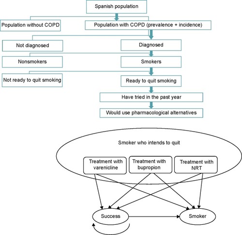 Figure 1 Diagram of the model: epidemiological cohort and Markov chain.