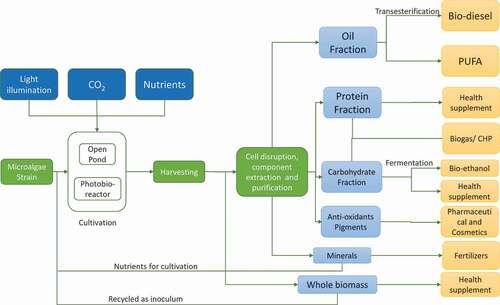 Figure 2. Microalgae bio-refinery model.