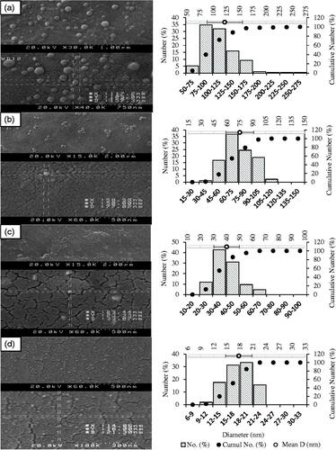 Figure 2. (Left) Scanning electron micrographs for (a) oleyl-peptide in PBS, pH 5.5; (b) T2, (c) T3 and (d) T4 in PBS, pH 5.7; (Right) average diameter and size distribution (ImageJ, 1.49 v, Bethesda, MD).