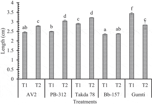 Figure 1. The length of buds of different tea varieties under organic (T1) and inorganic treatments (T2).