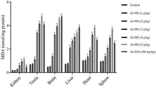 Figure 3. Malondialdehyde (MDA) level in mice kidney, testis, brain, liver, heart, and spleen tissuesof the control group, and those treated with biogenic Zn NPs at the dose of 1.2, 2.4, and 6 mg/kg and ZnSO4 at the dose of 100 mg/kg. cp < .001 compared to the control.