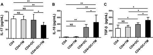 Figure 4 Talaromyces marneffei yeast cells induced high levels of IL-10 and TGF-β secretion. The concentrations of IL-17, IL-10, and TGF-β in the supernatants of the co-culture of CD4+ T lymphocytes, DCs, and yeast cells of TM were detected by ELISA. Comparison of (A) IL-17A, (B) IL-10, and (C) TGF-β levels in supernatants of the co-cultured cells. Data are expressed as mean ± SD (n=10). *P < 0.05, **P < 0.01.Abbreviations: DC, dendritic cell; TM, Talaromyces marneffei; CD, cluster differentiation; IL-17, interleukin 17; IL-10, interleukin 10; TGF-β, transforming growth factor β; SD, standard deviation; NS, not significant.