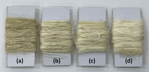 Figure 2. Visual aspect of PALF (a) before and after bleaching (b) 5%, (c) 10%, and (d) 15% H2O2.