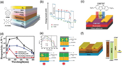 Figure 6. (a) Device structure of the perovskite photodetector, and insets showed the chemical structures of the PCBM and F4-TCNQ. (b) The energy levels distribution and the carrier transport characteristics of the device under illumination [Citation85]. Copyright from 2018 Adv. Optical Mater. (c) Schematic configuration of CH3NH3PbI3/C8BTBT heterojunction photodetector. Inset showed the molecular structure of C8BTBT. (d) Responsivity of C8BTBT, CH3NH3PbI3, and CH3NH3PbI3/C8BTBT heterojunction photodetectors as a function of the light wavelength, in which the data were measured at a bias of 10 V. The responsivity was an average value of five photodetector devices [Citation88]. Copyright from 2017 Adv. Electron. Mater. (e) The EQE spectra of devices and the schematic morphologies of the infrared absorption layer and charge carrier transportation for devices, respectively [Citation89]. Copyright from 2017 Adv. Optical Mater. (f) Schematics of MAPbI3/Fullerenes photodetector and the energy diagram of each layer in devices [Citation90]. Copyright from 2017 12th IEEE.