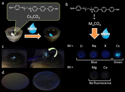 Figure 1. Photographs of fluorescence changes of a mixture of 1 and various carbonate salts after addition of a drop of methanol. (a) Fluorescence change of a powdered mixture of 1 and Cs2CO3 under UV irradiation (365 nm) after addition of a drop of methanol. (b) Photographs of a mixture of 1 and various carbonate salts under UV irradiation (365 nm) after addition of a drop of methanol. (c) Photographs of 1 + Cs+ on dirt under room light (left) and under UV irradiation (365 nm, right) after spraying with methanol. (d) Photographs of 1 + Cs+ particles on filter paper (diameter 110 mm) under UV irradiation (365 nm) after spraying with methanol.