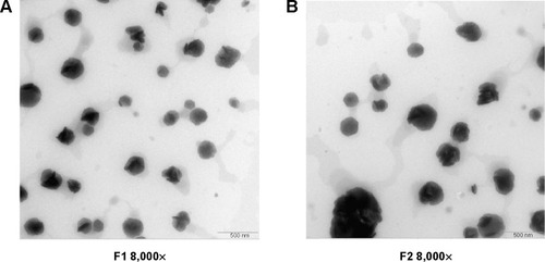 Figure 2 Transmission electron microscopy images of capsaicin-loaded cubosomes.