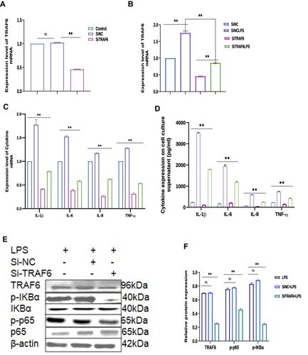 Figure 5 Continue.