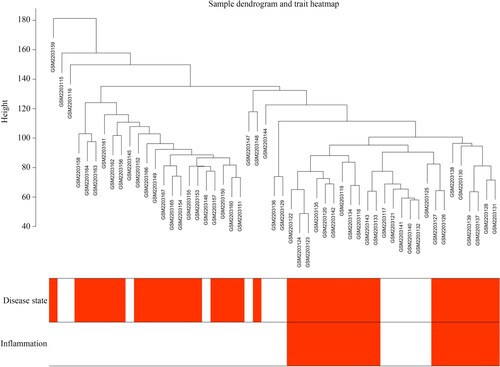 Figure 1. Sample tree clustering of transcriptional profile of 53 intestinal mucosa biopsies and corresponding and clinical traits. Disease state: black indicates CD patients, and white indicates patients without CD. Inflammation: black indicates the tissues with inflammation, and white indicates the tissues without inflammation.