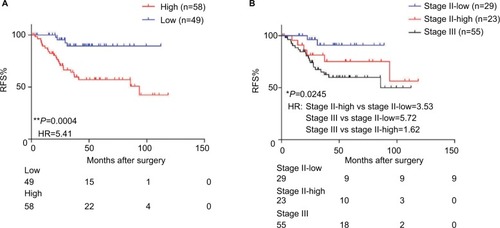 Figure 4 The predictive performance of the triple-marker in GSE17536.Notes: (A) The Kaplan–Meier analysis was used to estimate the prognosis of the low- and high-score groups in stage II and III patients. (B) Kaplan–Meier survival analysis was used to estimate low-score stage II, high-score stage II and stage III groups (*P<0.05; **P<0.01).Abbreviations: RFS, recurrence-free survival; HR, hazard ratio; ROC, Receiver operating characteristic.