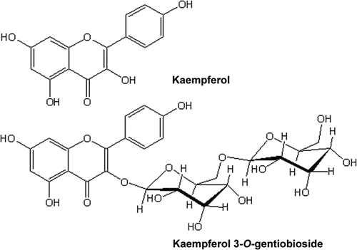 Figure 3.  Structures of major components of the active fractions: kaempferol from the ethyl acetate and kaempferol 3-O-gentiobioside from the n-butanol fraction.