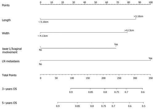 Figure 3 Nomogram for predicting the overall survival probability in cervical cancer patients whose FIGO-2018 stage were II and III.