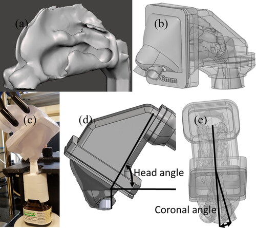 Figure 1. (a) Nasal airway geometry. (b) In vitro model with the spray pump adapters. (c) Setup for spray actuation and in vitro deposition measurement. Images showing the (d) head angle and (e) coronal angle for a nasal spray insertion in a representative nasal geometry.