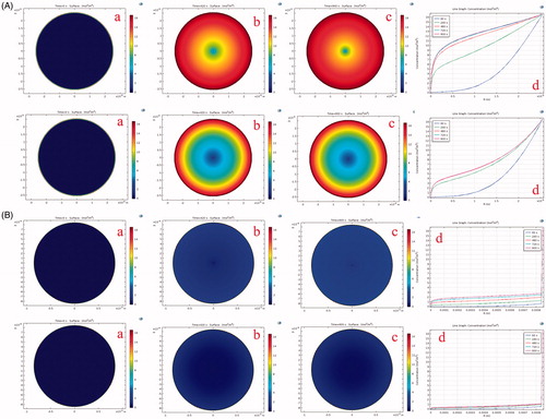 Figure 7. Time lapse simulations of radial urea degradation in single capsules for second and first generation immobilized E. coli DH5α (pKAU17). (A) First row a (t = 0s), b (t = 420s), c (t = 900s), d (t = [60s, 240s, 480s, 720s, 900s], (K = 0.00123 s−1), and second row a (t = 0s), b (t = 420s), c (t = 900s) and d (t = [60s, 240s, 480s, 720s, 900s]) (K = 0.01s−1) for (MI) capsules. (B) Third row a (t = 0s), b (t = 420s), c (t = 900s), d (t = [60s, 240s, 480s, 720s, 900s], (K = 0.00123 s−1), and fourth row a (t = 0s), b (t = 420s), c (t = 900s) and d (t = [60s, 240s, 480s, 720s, 900s]) (K = 0.01 s−1) for (MA) capsules.