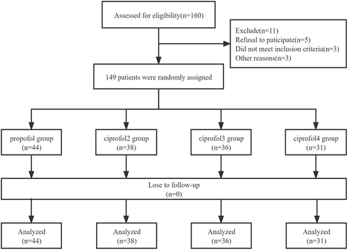 Figure 1 Flow diagram of the study.