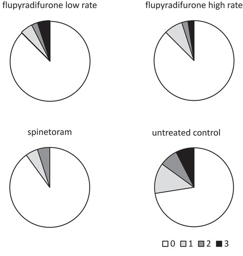 Figure 5. Strawberry plant (n = 40) ratings (0 = no visible symptoms; 1 = up to 25%; 2 = 26 to 50%; 3 = 51 to 75% of petioles/leaves per plant with symptoms) for bronzed, reddish-brown petioles and leaves due to Scirtothrips dorsalis feeding injury 14 days post-application (6 Jan 2016) of flupyradifurone (Sivanto™ 200 SL) at a low or high rate (1035, 2070 ml ha−1) or spinetoram (Radiant® SC, 740 ml ha−1) (23 Dec 2015) in field research plots in Balm FL.