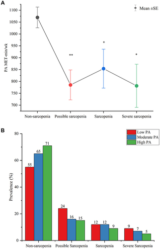 Figure 3 (A) Mean ± SE for MET-min/wk of physical activity in subjects with non-sarcopenia, possible sarcopenia, sarcopenia, and severe sarcopenia. Statistical comparisons are made with the non-sarcopenia group, *p<0.05, **p<0.01; (B) The sample proportion in low-, moderate-, and high physical activity categories among subjects with non-sarcopenia, possible sarcopenia, sarcopenia, and severe sarcopenia. The numbers at the top of each bar are the sample percentages in each category.