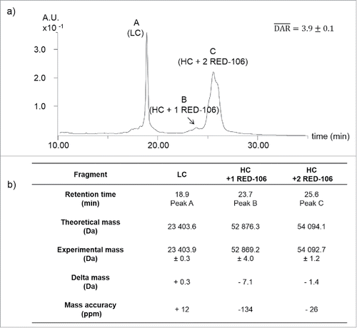 Figure 2. Middle-up analysis of CBW-03–106. (a) UV chromatogram of TCEP-reduced CBW-03–106 (a). LC without drug load and HC fragments with one or 2 RED-106 bound molecules were observed. Theoretical and experimental masses of the G0F glycoform obtained by middle-up analyses of CBW-03–106 (b).