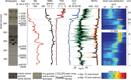 Fig. 2  Stratigraphy, calibrated radiocarbon ages with open arrows for aquatic moss samples, after Klug, Bennike et al. (Citation2009) and filled arrows for bulk sediment samples (HA and HAF ages), selected physical and geochemical properties and grain size distribution of lower part of the composite sediment sequence. Note that Mn/Fe ratio is on reverse scale. Depth scale is in cm below sediment surface (bss).