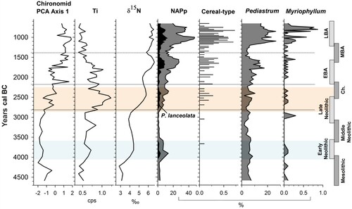 Figure 4. Composite diagram of chironomid, organic geochemistry, inorganic geochemistry and selected pollen data, plotted to a time scale of cal. years BC. Zonation is based on chironomid assemblage zones (CAZ). Archaeological time periods are shown on the right. The Neolithic Landnam is highlighted in light blue and the period of most significant erosion is highlighted in orange. Pollen curves from Spencer et al. (Citation2019).