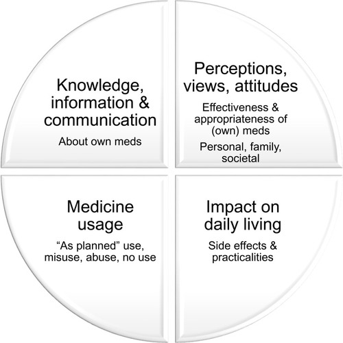 Figure 2 Thematic core categories of most meaningful/important PROs for assessment during polypharmacy medicines reviews.