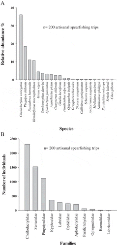 Full article: Artisanal Spearfishery in Temperate Nearshore Ecosystems ...