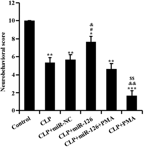 Figure 2. Neurobehavioral scores of rats in different treatment groups