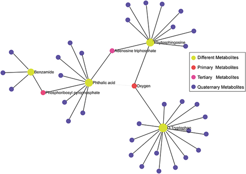Figure 6 A collaborative interaction network of metabolites.
