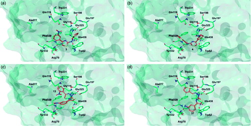 Figure 8. Glide top poses of compounds (a) 3, (b) 4, (c) 13, and (d) 37 in the hBuChE active site. Ligands are reported in orange carbon polytube and the most relevant residues are shown in green carbon polytube. Hydrogen bonds, cation–π and π–π interactions are displayed in yellow, green and light blue, respectively.