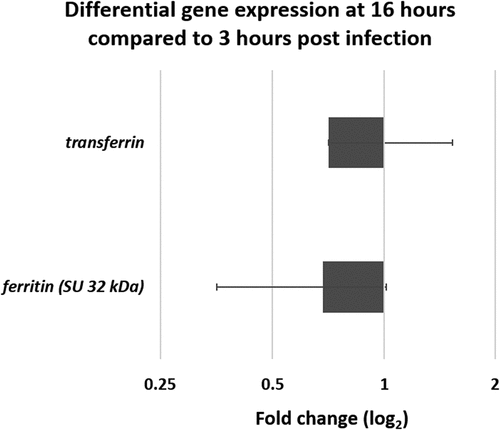Figure 8. Differential gene expression (ΔΔCt) of two iron related G. mellonella genes. Genes encoding ferritin and transferrin obtained from mRNA at late infection stage (16 hours) compared to early stage (3 hours) in germ-free G. mellonella midgut infected with B. cereus associated with Cry1C toxin. Error bars indicate the standard deviation of three biological replicates