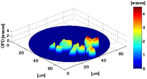 Figure 6. Dynamic sample (Video 2). Temporal evolution of the OPD of RBC. 5 frames per second.