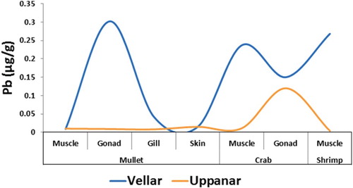 Figure 4. Lead level studied in marine organism tissue collected from Vellar and Uppanar estuaries.