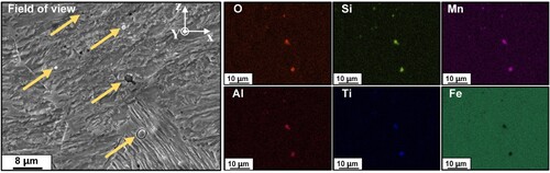 Figure 8. EDS mapping of O, Si, Mn, Al, Ti and Fe elements of Fe11Cr8Ni at higher magnification.