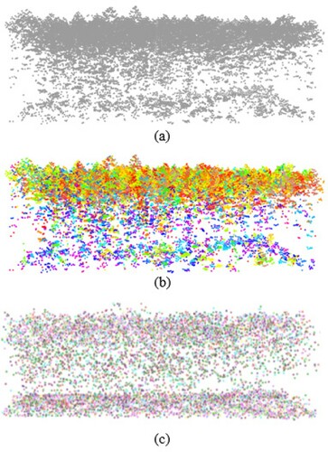 Figure 3. Examples of (a) the original LiDAR point cloud of plot 11 (29,671 pts), (b) the clustering result of mean shift method (each colour represents one voxel) and (c) the voxel cloud (each voxel is represented by voxel weight, 2802 pts).