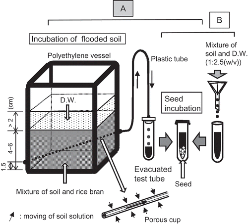 Figure 2. Method of the incubation.