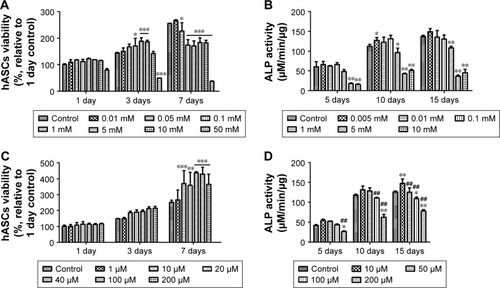 Figure 3 Evaluation of viability (A, C) and ALP activity (B, D) of hASCs at various concentrations of NAC (A, B) and GNPs (C, D). Results are mean ± SD of triplicate experiments: *P<0.05, **P<0.01, and ***P<0.001 represent significant difference compared with control group, and ##P<0.01 represent significant difference compared with 10 µM group.Abbreviations: GNPs, gold nanoparticles; hASCs, human-derived stem cells; NAC, N-acetyl cysteine; ALP, Alkaline phosphatase.