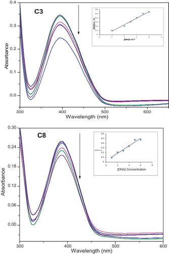 Figure 11. Electronic absorption spectra of complexes C3 and C8 (50 μM) in Tris/NaCl buffer (pH = 7.2) upon addition of CT-DNA (0–25 μM). Arrow shows the absorbance changing upon increase of DNA concentration. Inset: linear fit of [DNA]/(ɛa-ɛf) v/s [DNA] for the titration of the C3 and C8 complexes with CT-DNA