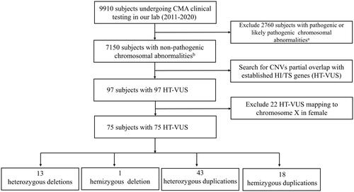 Figure 1. Flow diagram of the HT-VUS selection. HT-VUS, those copy number variants of uncertain significance partially overlapping with the haploinsufficient or triplosensitive genes; CMA, chromosomal microarray analysis; CNVs, copy number variants; HI, haploinsufficiency; TS, triplosensitivity; a, pathogenic or likely pathogenic chromosomal abnormalities include numerical chromosomal abnormalities, partial aneuploidy, pathogenic or likely pathogenic microdeletion/microduplication and uniparental disomy; b, non-pathogenic chromosomal abnormalities include benign or likely benign CNVs or without any CNVs.