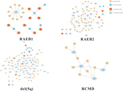 Figure 4. MiRNA-mRNA interaction networks in different subtypes of MDS were analysed. The circle represents target immune-related mRNAs, and the triangle represents DE-miRNAs. Blue represents downregulation, red and orange represent upregulation.
