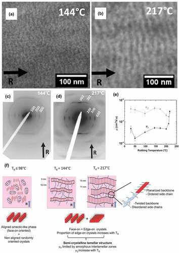 Figure 2. TEM bright-field images of the oriented P3HT films prepared by mechanically rubbing at (a) 144 ℃ and (b) 217 ℃, respectively. ED patterns of P3HT films when rubbed at (c) 144 ℃, (d) 217 ℃; (e) the curves of hole mobility in bottom-gate/bottom-contact OFETs made by rubbing P3HT films. μ// and μ⊥ represents the hole mobility is measured by parallel or perpendicular to the rubbing direction; (f) schematic illustration of the lamellar orientation’s changes with respect to the temperature. Reprinted from Ref. [Citation82] with permission. Copyright 2016.