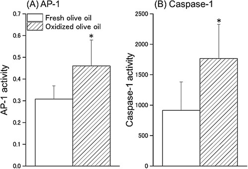 Figure 2. AP-1 and Caspase-1 activity in splenocytes. AP-1 activity was calculated as p-c-Jun/total c-Jun. Fresh olive oil (Display full size) and oxidized olive oil (Display full size). The values are mean ± SD (n = 5). *p < .05 vs. the fresh olive oil group.