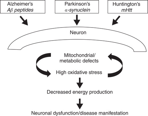 Figure 1. The primary aberrant protein drivers and molecular pathways that may be involved in creating energy deficits in neurons triggering dysfunction and disease in AD, PD and HD.