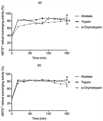 Figure 3. ABTS•+ antioxidant activity in (a) globulins and (b) glutelins of Leucaena leucocephala seed cotyledon protein hydrolysates by Alcalase, Trypsin, and α-Chymotrypsin. Experiments were done in triplicates. Different letters on each line indicate significantly different at P < .05.Figura 3. Actividad antioxidante por ABTS en (a)globulinas y (b)glutelinas en los hidrolizados proteicos de proteínas de cotiledón de Leucaena leucocephala producidos con Alcalasa, Tripsina y α-quimotripsina. Los análisis de hicieron por triplicado. Diferentes letras en una misma línea indican diferencias significativas a P < .05