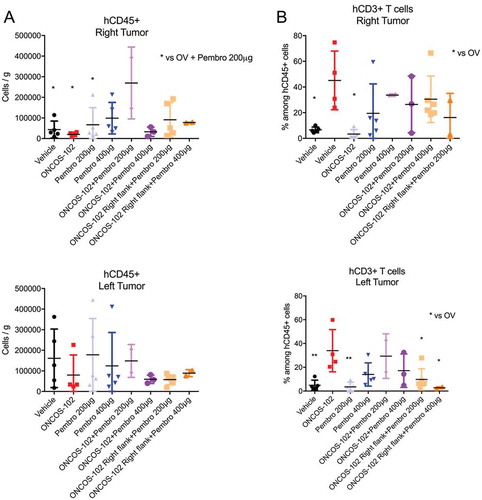 Figure 6. Effects of ONCOS-102 and pembrolizumab on number of hCD45+ leukocytes. A. Number of hCD45+ leukocytes per gram of tumor on left and right flank. B. Percentage of hCD3+ leukocytes among hCD45+ leukocytes in tumors on left and right flank. The populations were gated with forward and side scattering (FSC-A/SSC-A dot plot) in leukocytic regions (at least 104 cells/events were analyzed by flow cytometry, 6–8 tumors/experimental group have been analysed in one experimental replicate). Flow cytometry analysis was performed on FlowJo v10 software. Data represent mean ± SEM. n = 2–6, P* < 0.05, P** < 0.01 vs vehicle.