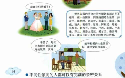 Figure 18. Grade 6 illustration about same-sex marriage (Volume 1, page 44).