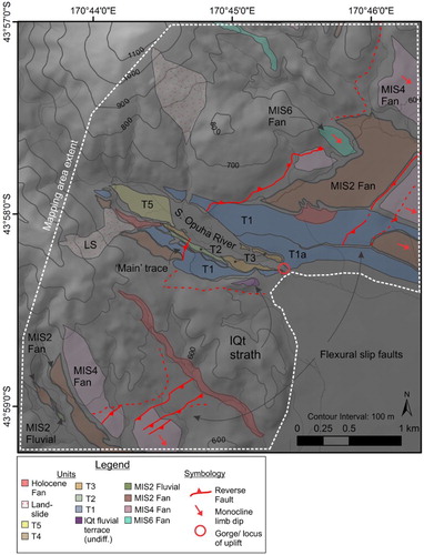 Figure 8. Tectonic and Quaternary geomorphic map of the Fox Peak Fault at the South Opuha River area (boundary between Cloudy Peaks and Ribbonwood sections). South of the river, surface expression of faulting is dominated by flexural-slip faults within the Tertiary strike ridge (Figure 1). At the river, faulting is confined to a single, northwest-dipping trace with a small displacement (c. 1–2 m throw) (compared with Cloudy Peaks, to the south). Terraces are incised into a late-glacial fan (see Table 3 for specific ages), although higher terraces and fans are also preserved near the river. To the north, flexural-slip faulting is again evident and coincides with a narrow gorge in the South Opuha River (•). The main, range-bounding fault continues to the north but has only intermittent surface expression north of the river. Arrows denote the direction of tilting of late Quaternary fan surfaces (i.e. monocline limb dip).