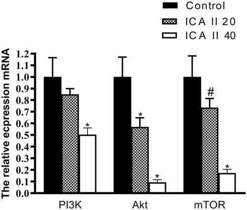Figure 10 The impact of ICAII on the expression of genes related to PI3K-AKT-mTOR signaling in DU145 cells. PI3K, Akt, and mTOR gene expression in DU145 cells was quantified. *P <0.01, vs control; #P <0.05, vs control.