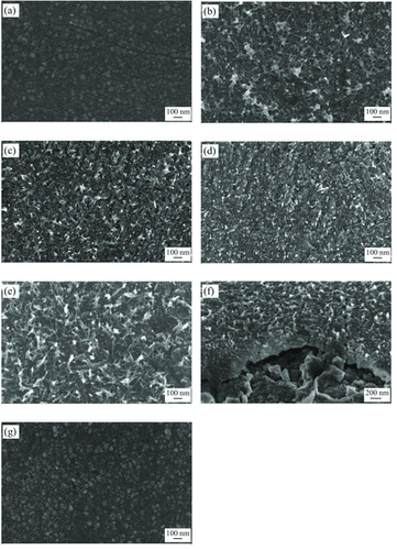 Figure 1. FESEM micrographs of: (a) thermal oxidised W foil, (b) WO3 prepared without surfactant and WO3 prepared with: (c) 0.01 M CTAB, (d) 0.03 M CTAB, (e) 0.05 M CTAB, (f) 0.05 M CTAB (cross sectional view) and (g) 0.07 M CTAB.
