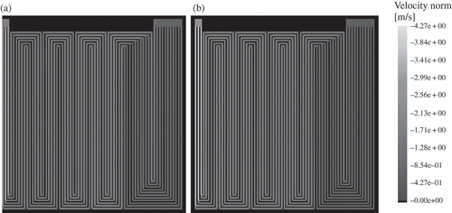 Figure 4. Absolute value of the gas velocity in the flow-field channels ((a) anode, (b) cathode). The gas velocity increases towards the outlet at each channel junction.