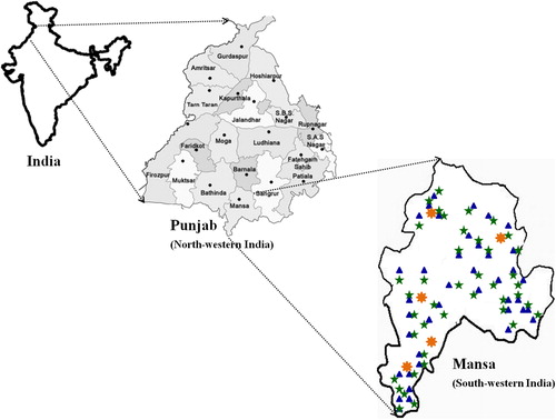 Figure 1. Geographical location of soil sampling sites under rice–wheat (blue triangle) and cotton–wheat (green star) cropping system and uncultivated (orange star) soils in south-western Punjab ).